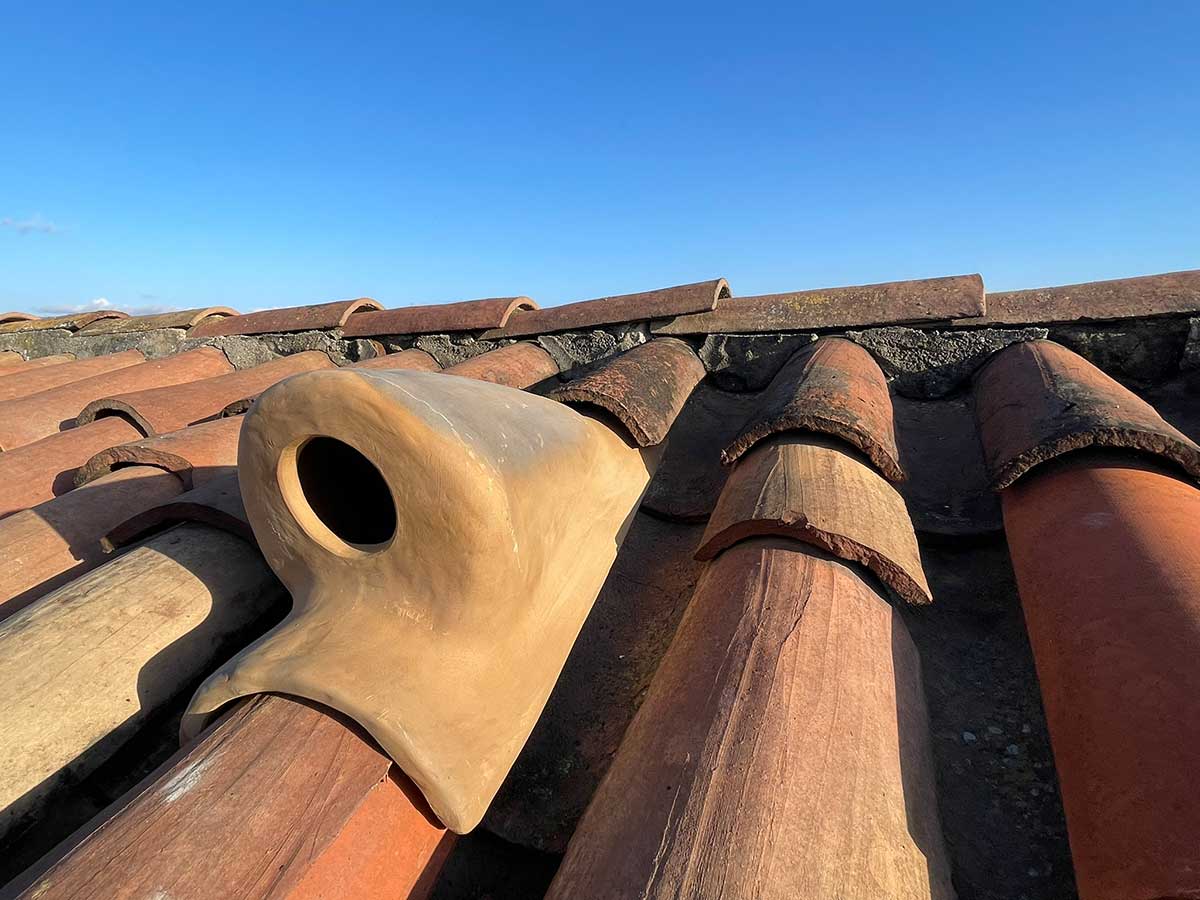 Mochuelo europeu (Athene noctua) - Teula Mussolera - Obrafit, sistema de gestão de obras